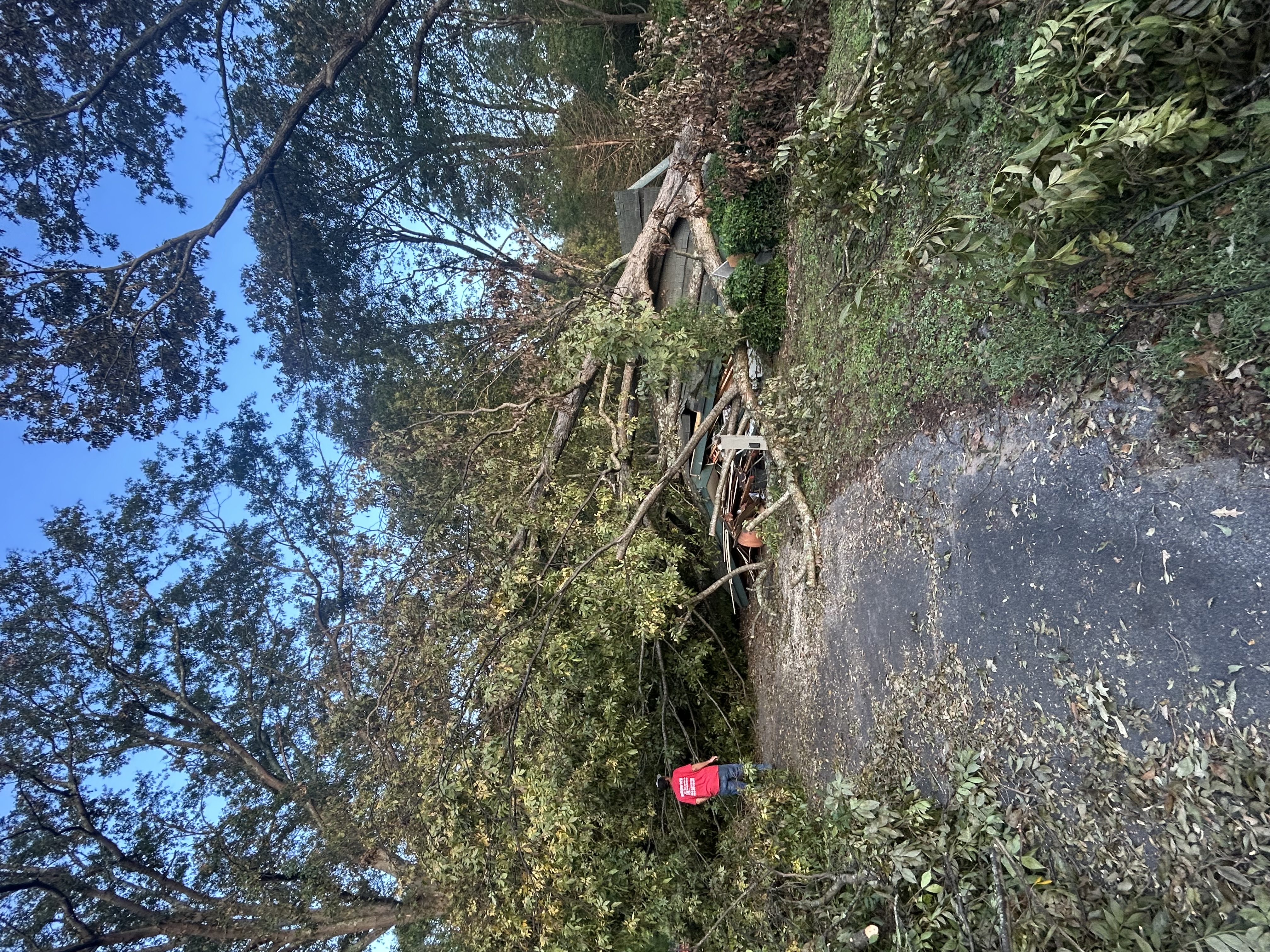 Emergency Cleanup 1