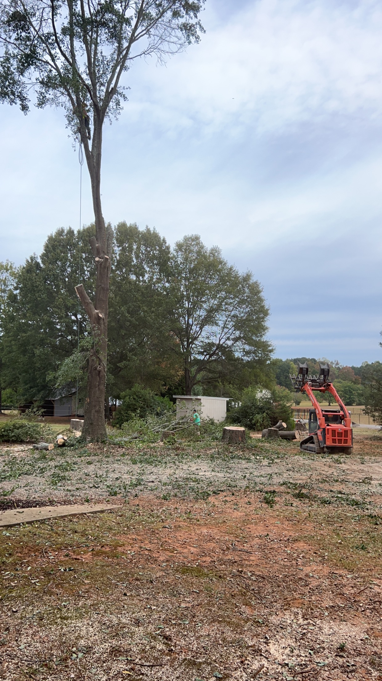 Lot Clearing 1