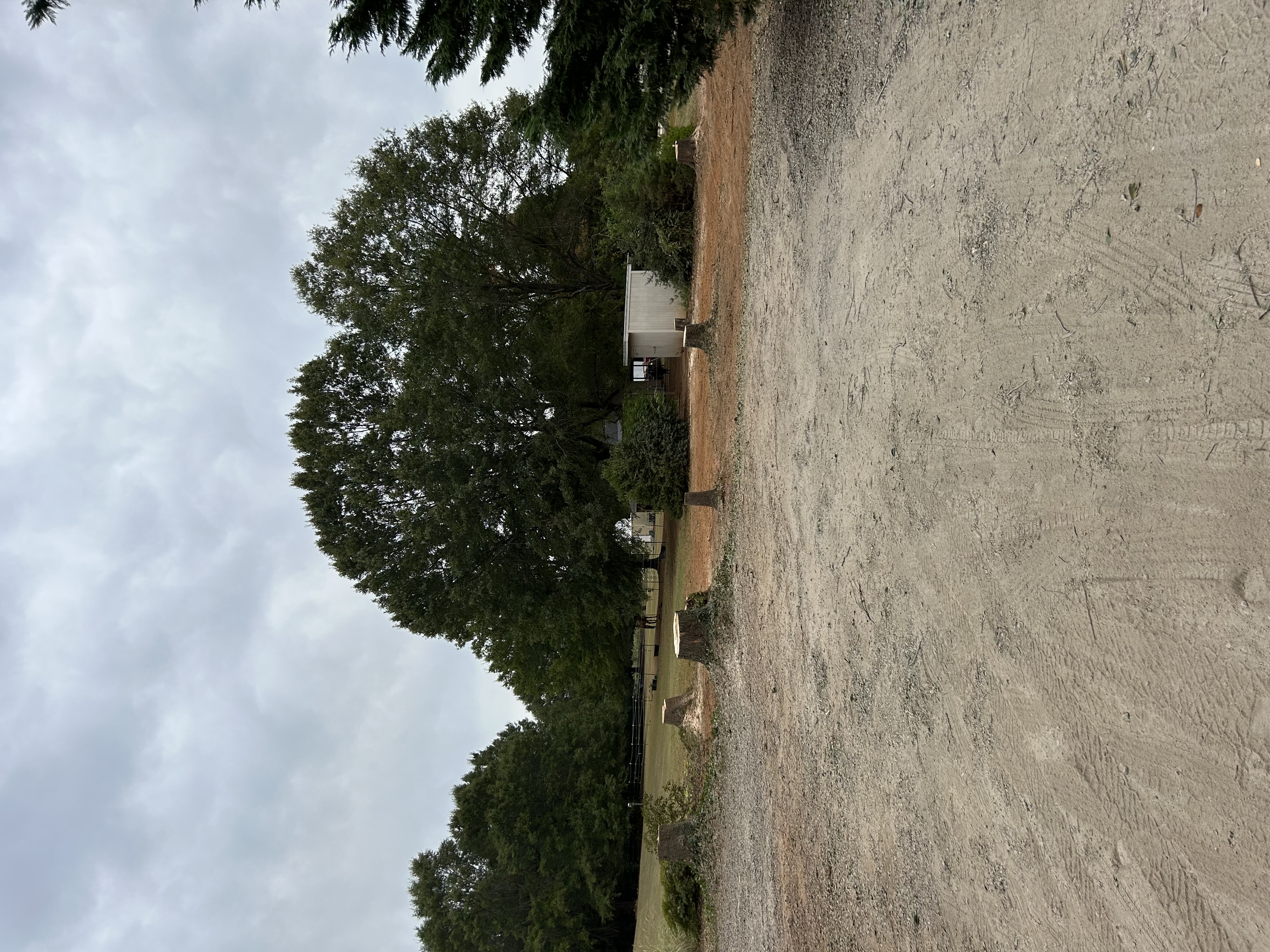 Lot Clearing 2