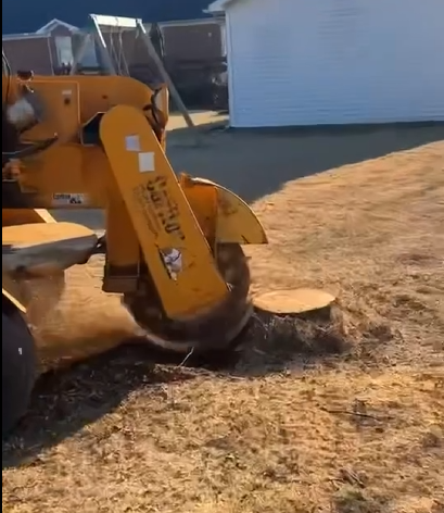 Stump Removal 1