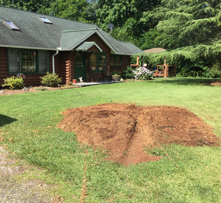 Stump Removal 2