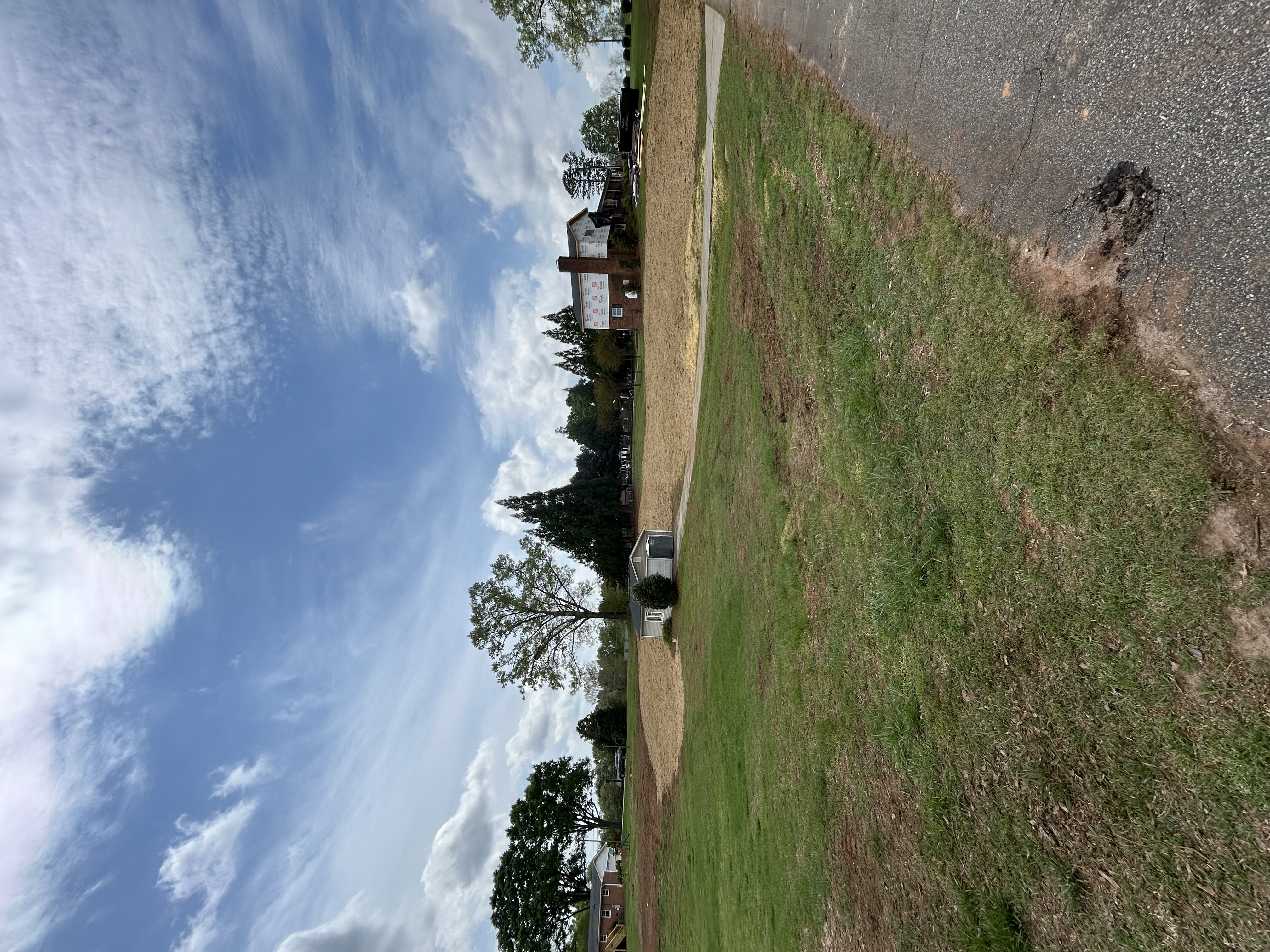 View Clearing 2